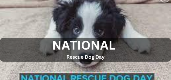 National Rescue Dog Day [राष्ट्रीय बचाव कुत्ता दिवस]